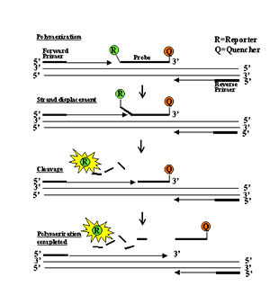 OB视讯·(中国区)官方网站